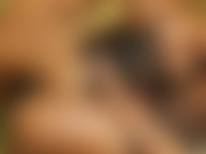 chaudes femmes bettaix topless photos discuter avec des transexuelles meilleur sexe de ladolescence indienne plan
